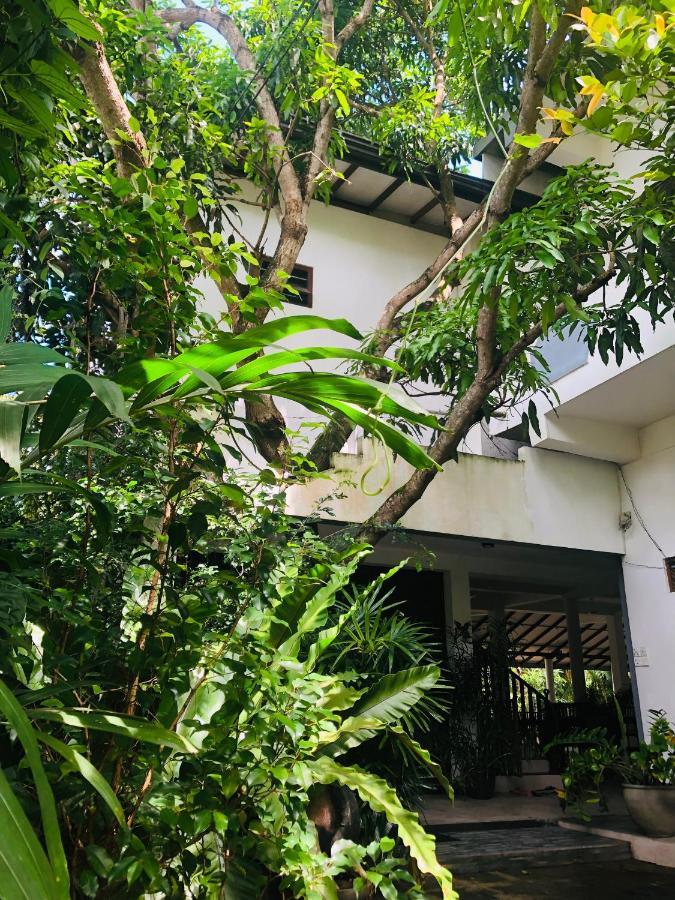 Tinara River Inn, Weligama Εξωτερικό φωτογραφία