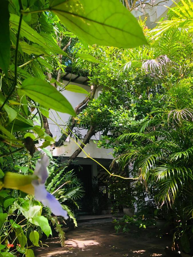 Tinara River Inn, Weligama Εξωτερικό φωτογραφία