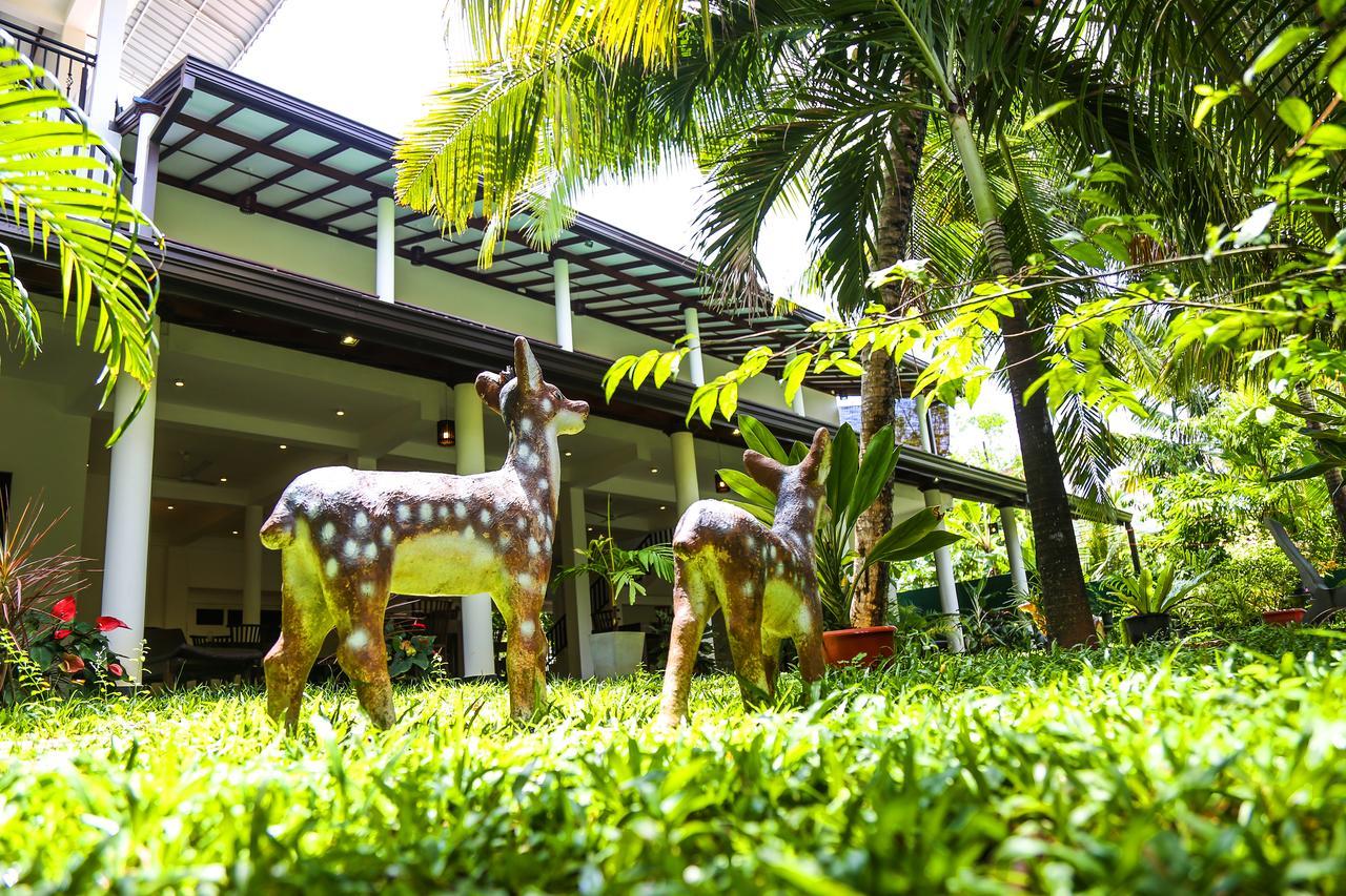 Tinara River Inn, Weligama Εξωτερικό φωτογραφία