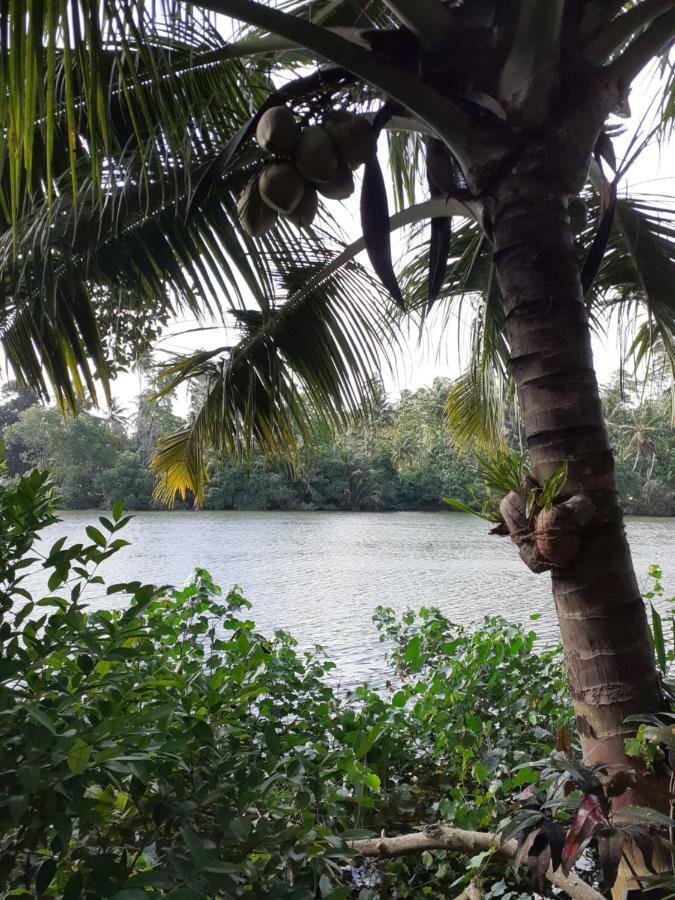 Tinara River Inn, Weligama Εξωτερικό φωτογραφία
