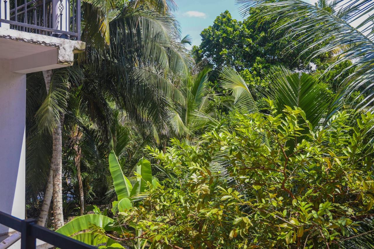 Tinara River Inn, Weligama Εξωτερικό φωτογραφία